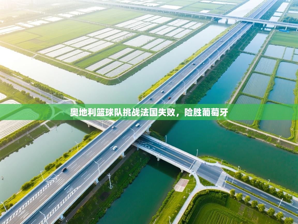 奥地利篮球队挑战法国失败，险胜葡萄牙  第1张